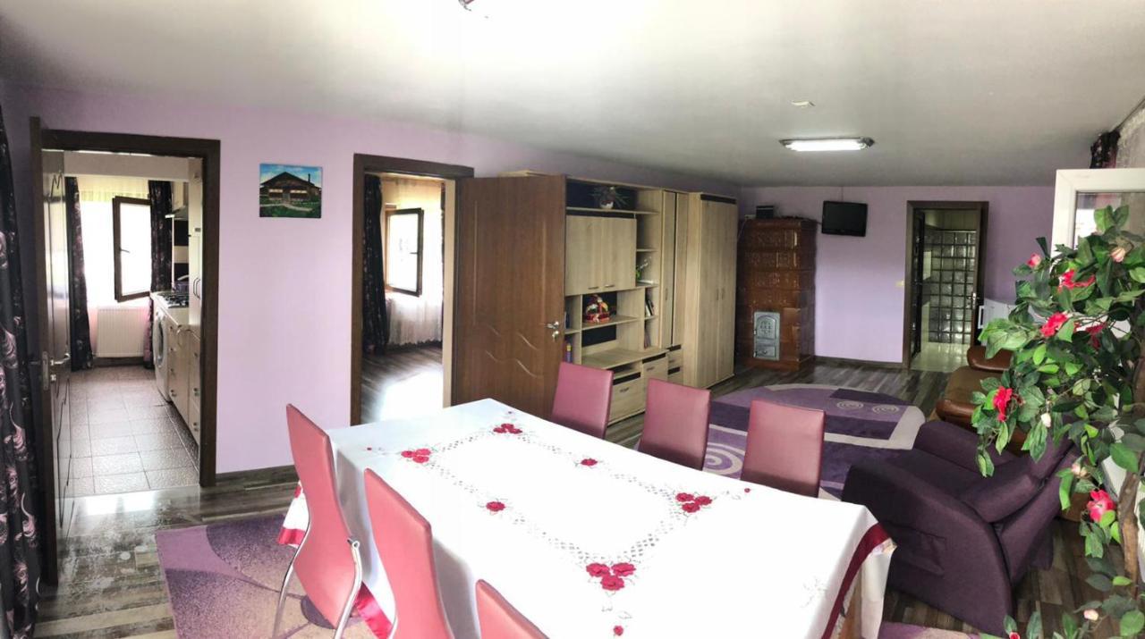 Casa De La Lac Sighetu Marmaţiei 외부 사진